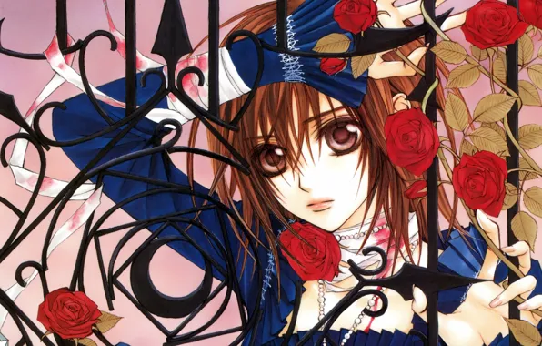 Картинка ограда, art, vampire knight, yuuki cross, рыцарь-вампир, синее платье, красные розы, matsuri hino