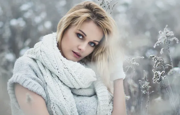 Картинка зима, взгляд, снег, поза, фон, модель, портрет, макияж, шарф, платье, прическа, блондинка, красотка, боке, рукавички, …