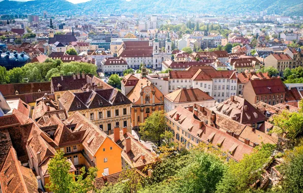 Картинка Австрия, крыши, панорама, Грац