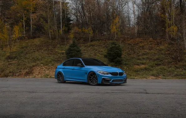 Картинка BMW, Blue, F80, M3