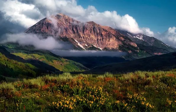 Картинка лето, небо, облака, цветы, горы, туман, холмы, вершины, луг, США, предгорье