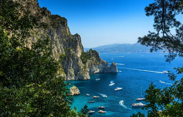Картинка море, горы, дерево, яхты, Италия, Капри