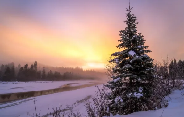 Картинка зима, закат, туман, река