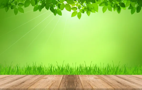 Картинка трава, листья, лучи, свет, зеленый, доски