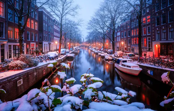 Картинка листья, снег, деревья, ветки, лодки, Амстердам, канал, Нидерланды, катера, набережная, Amsterdam, велосипеды, Netherlands