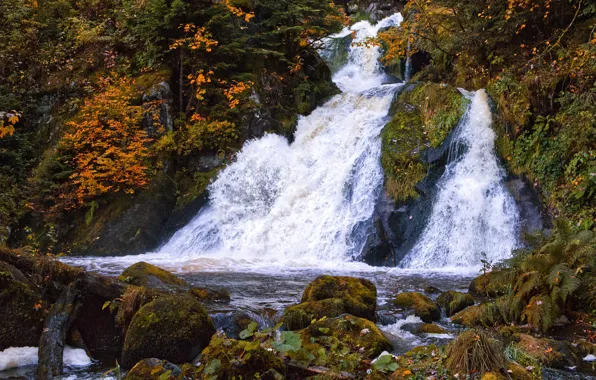 Картинка осень, лес, камни, скалы, берег, листва, водопад, поток