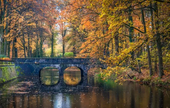 Картинка осень, деревья, мост, парк, река, Нидерланды