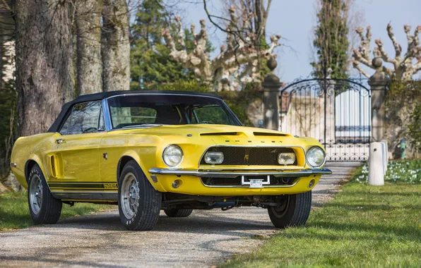 Картинка Mustang, Ford, Shelby, Ford Mustang, Front, Yellow, Convertible, GT500 KR