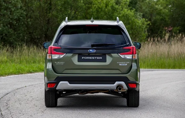 Картинка Subaru, сзади, кроссовер, корма, Forester, 2019