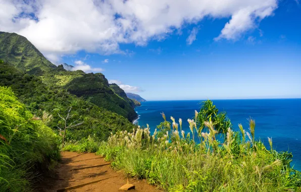 Картинка горы, побережье, тропинка, Hawaii, Kauai, Гаваи, Na Pali Coast