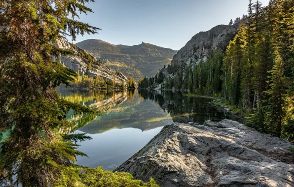 Картинка лес, горы, озеро, отражение, камень, Калифорния, California, Сьерра-Невада, Sierra Nevada, Красное озеро, Red Lake