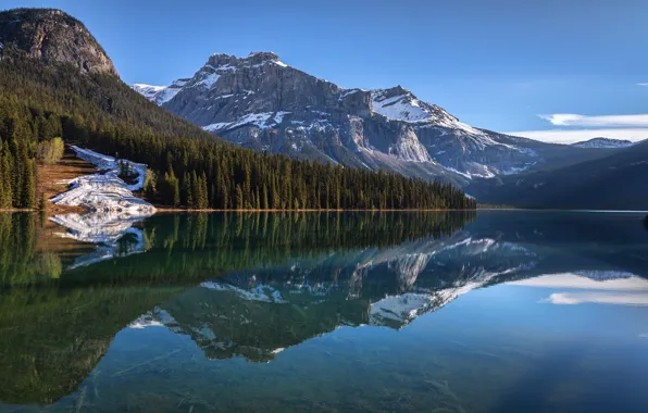 Картинка лес, горы, озеро, отражение, синева, скалы, берег, склоны, вершины, ели, Канада, Альберта, водоем, водная гладь, …