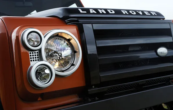 Картинка Land Rover, решётка, 2009, Defender, Limited Edition