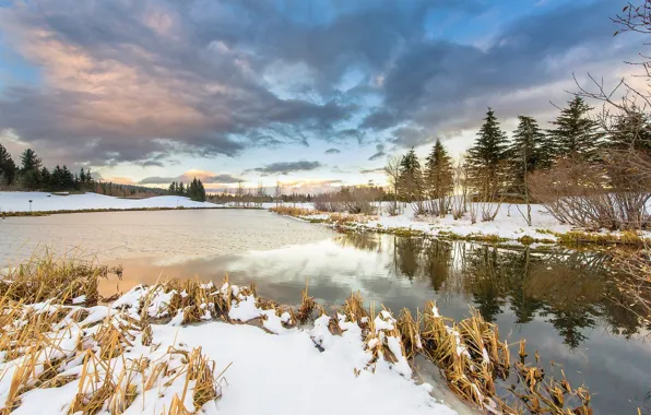 Картинка зима, небо, трава, река, фото
