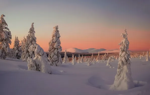 Картинка зима, снег, деревья, пейзаж, закат, горы, природа, ели, Финляндия, Лапландия