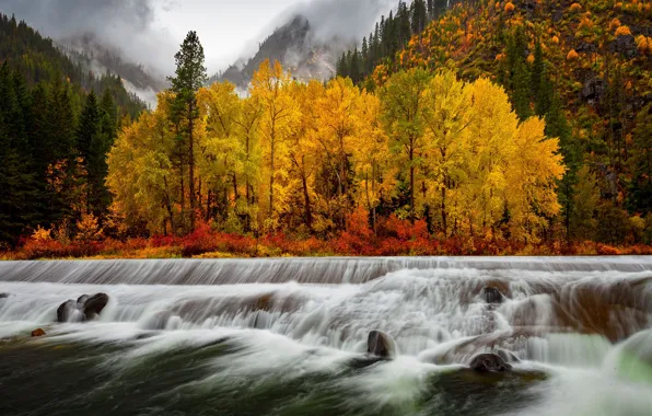 Картинка осень, лес, облака, пейзаж, горы, природа, туман, река, Doug Shearer, Tumwater Canyon