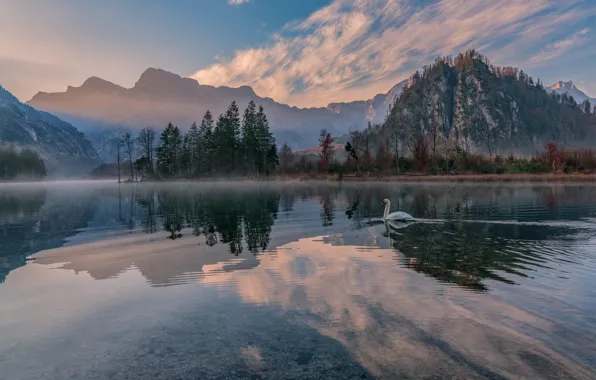 Картинка пейзаж, горы, природа, озеро, отражение, Австрия, лебедь, Almsee, Friedrich Beren, Hubert Bichler, Альмзе