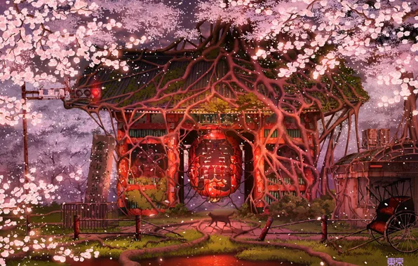 Картинка Япония, фонарь, коляска, храм, святилище, черная кошка, заброшенная зона, цветение сакуры, среди деревьев, корни деревьев