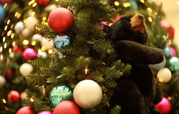 Картинка шарики, ветки, огни, праздник, шары, игрушка, размытие, медведь, Рождество, мишка, Новый год, ёлка, хвоя, гирлянды, …