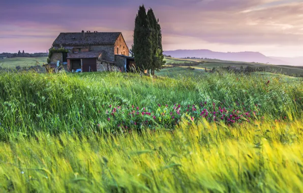 Картинка поле, трава, Италия, домик, Тоскана