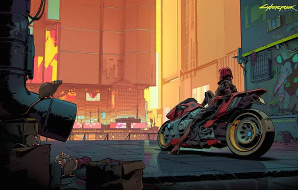 Картинка девушка, город, улица, мотоцикл, Cyberpunk 2077