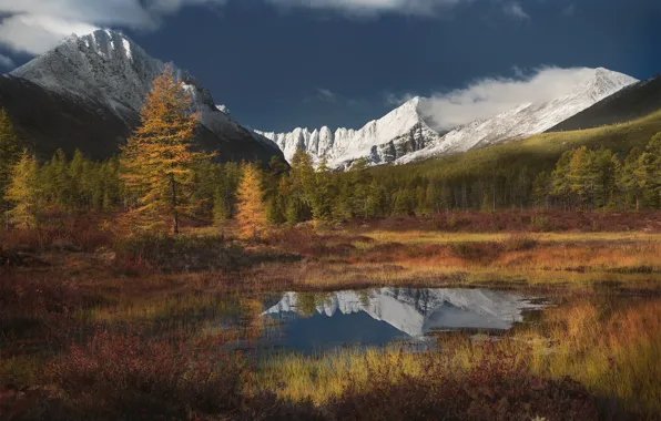 Картинка осень, лес, трава, облака, снег, горы, озеро, отражение, синева, берег, вершины, кустарники