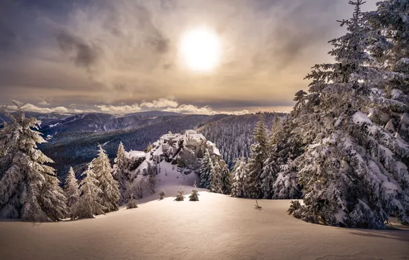 Картинка зима, лес, небо, солнце, облака, свет, снег, горы, природа, рассвет, холмы, склоны, вид, даль, утро, …