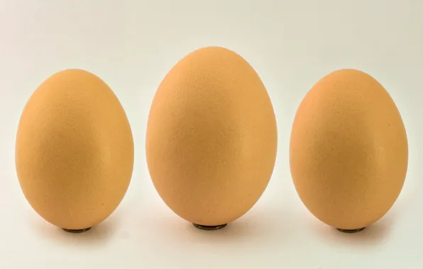 Картинка фон, яйца, трио