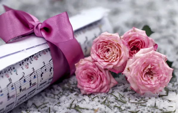 Картинка снег, цветы, ноты, музыка, розы, букет, розовые, бант, свиток, хвоинки, сверток