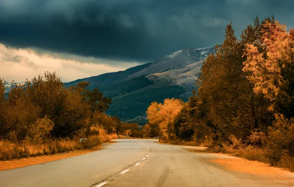 Картинка дорога, осень, лес, облака, деревья, горы, тучи, пасмурно, разметка, листва, красота, склон, шоссе, кроны, золотая …