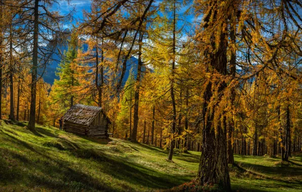 Картинка осень, горы, Австрия, домик, Тироль