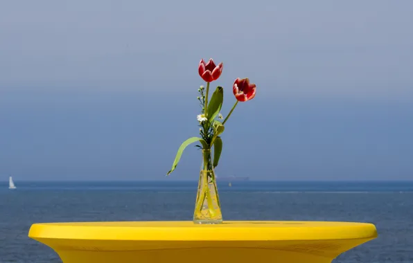 Картинка море, цветы, яхта, горизонт, тюльпаны, парус, ваза