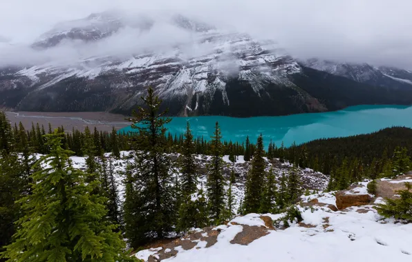 Картинка зима, лес, снег, пейзаж, горы, природа, озеро, берег, склоны, вершины, ели, Канада, Альберта, водоем, национальный …