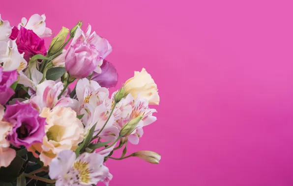 Картинка цветы, фон, розовый, лилии, pink, flowers, lily