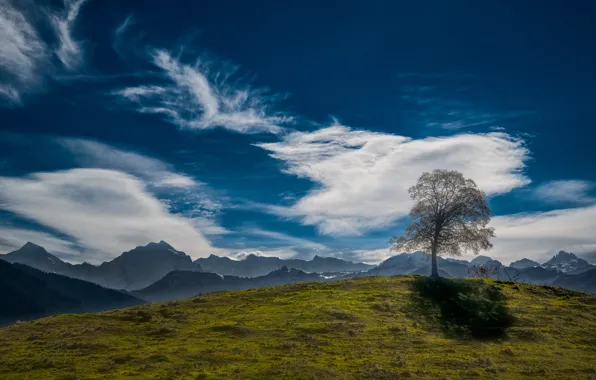 Картинка небо, облака, дерево, холм