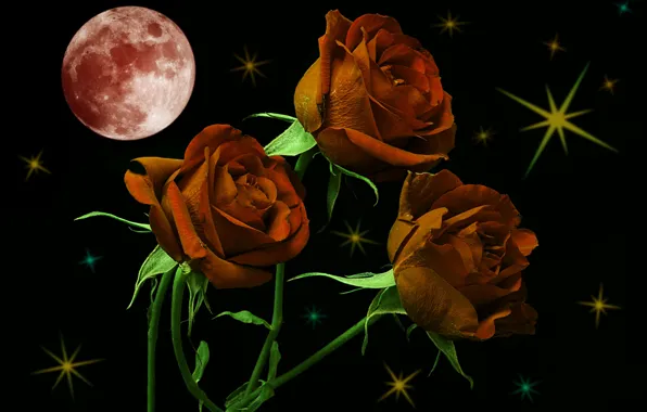 Картинка звезды, ночь, луна, розы, ремейк