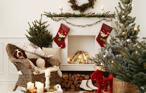 Картинка украшения, шары, елка, собака, Рождество, подарки, Новый год, снеговик, christmas, balls, puppy, dog, decoration, gift …