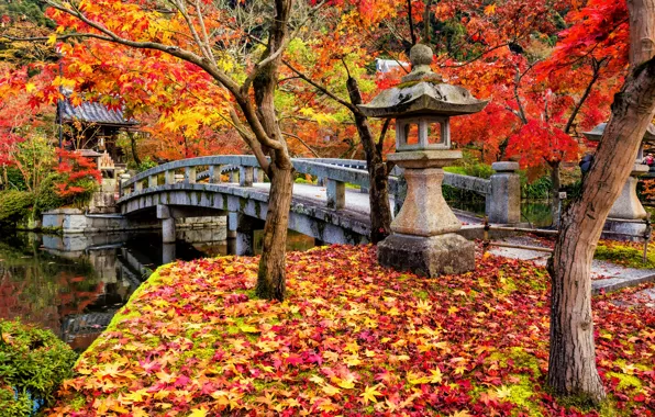 Картинка осень, листья, деревья, парк, colorful, Япония, Japan, клен, Kyoto, landscape, bridge, park, autumn, leaves, tree, …