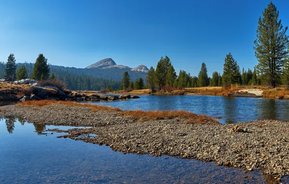 Картинка лес, небо, вода, солнце, деревья, горы, озеро, камни, скалы, США, Йосемити, Yosemite National Park