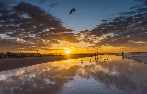 Картинка море, пляж, небо, солнце, облака, закат, птицы, люди, побережье, горизонт, Калифорния, США, Newport Beach