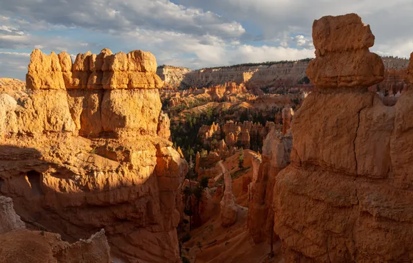 Картинка природа, скала, каньон, canyon, national park, bryce