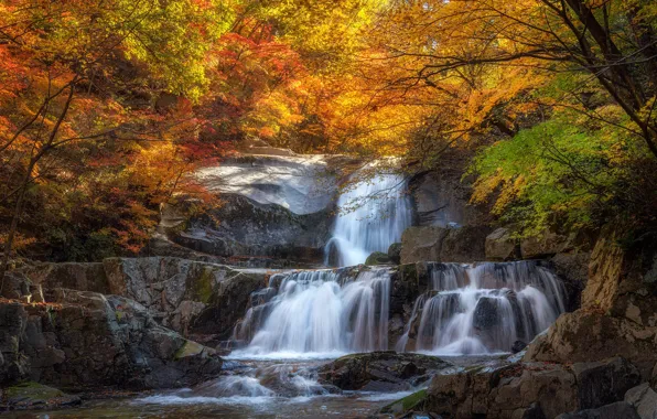 Картинка осень, лес, деревья, ветки, камни, скалы, водопад, поток, каскад, кустарники, золотая осень, осенняя листва