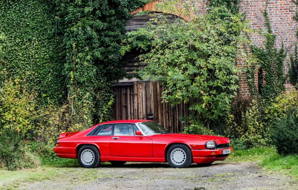 Картинка Красный, Спорткар, Классический автомобиль, Jaguar XJR-S