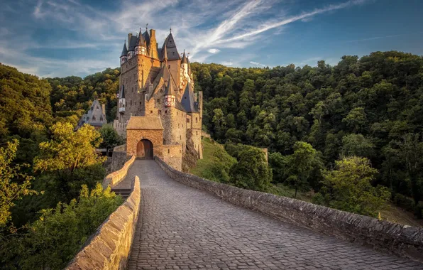 Картинка лес, замок, Германия, Эльц, Burg Eltz