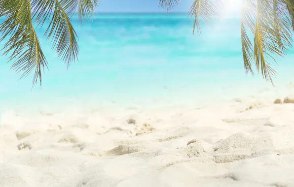 Картинка песок, море, пляж, лето, небо, солнце, пальмы, берег, summer, beach, sea, seascape, beautiful, sand, paradise, …
