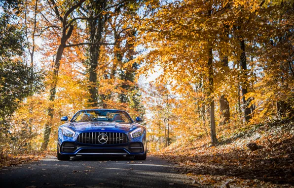 Картинка Roadster, Mercedes-Benz, вид спереди, AMG, 2018, GT C
