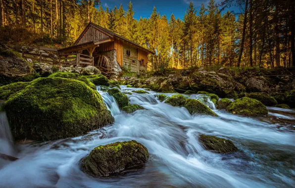 Картинка осень, деревья, река, камни, мох, Австрия, водяная мельница