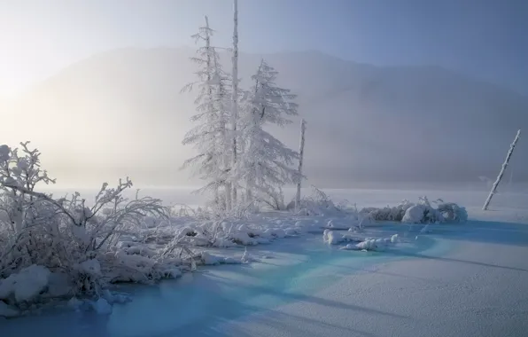 Картинка зима, снег, пейзаж, природа, туман, Якутия, Владимир Рябков