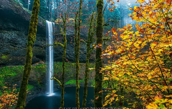Картинка осень, лес, озеро, водопад
