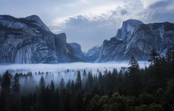 Картинка небо, облака, деревья, горы, природа, туман, скалы, USA, США, Национальный парк Йосемити, Yosemite National Park